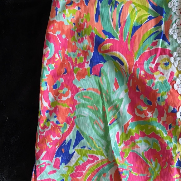 Lilly Pulitzer Skirt - Picture 9 of 9